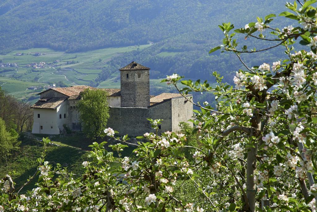 B&B La Casa Del Sole San Michele allʼAdige Extérieur photo